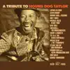 Various Artists - Hound Dog Taylor - A Tribute
